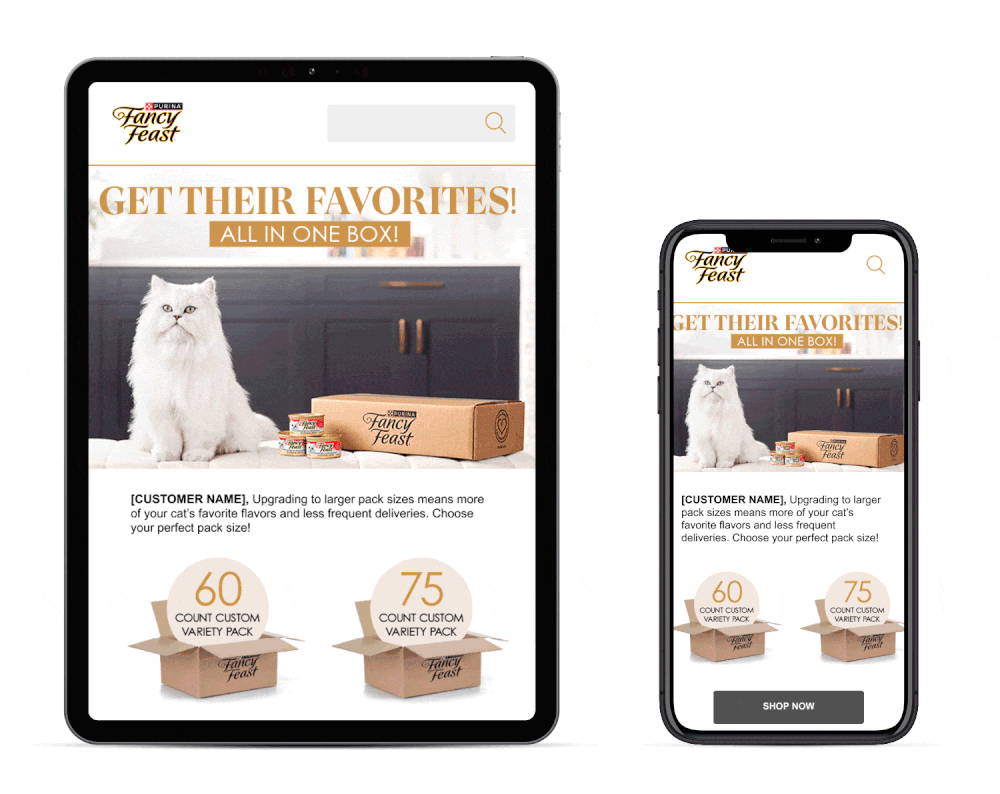 Purina Pro Plan animated campaign creative