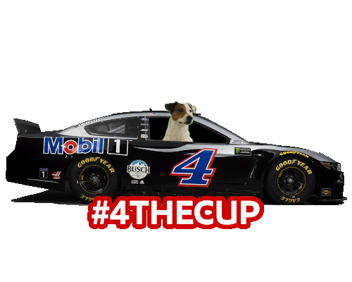 ExxonMobil NASCAR GIPHY sticker